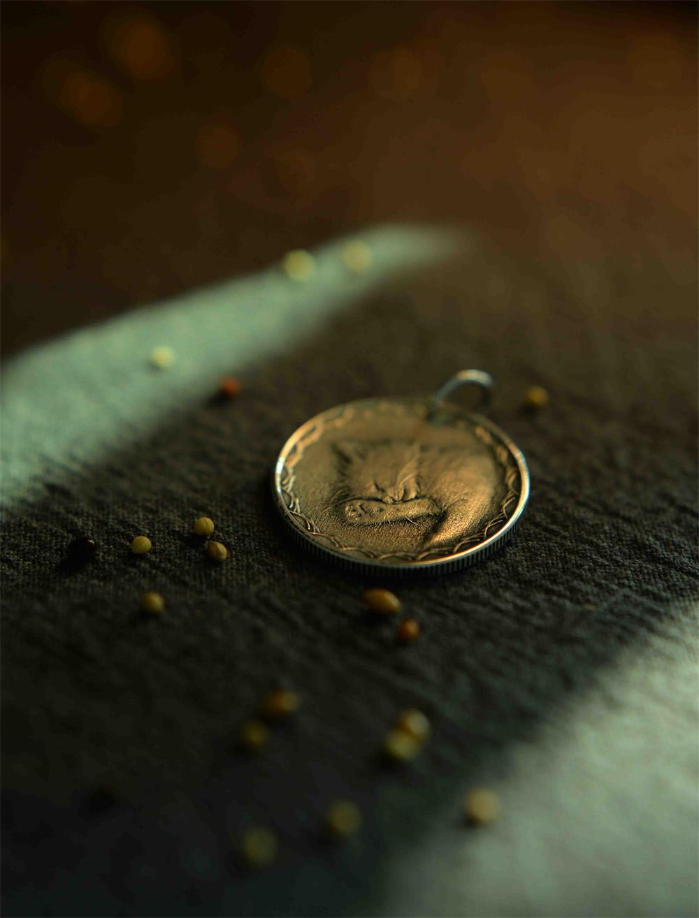 Luxury Custom Silver Coin – Turn a photo into a memorial keepsake. - Normir